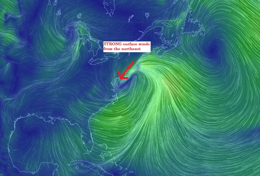 A great shot of strong northeast surface winds. As shown on http://earth.nullschool.net/ (A bookmark for any weather enthusiast!)