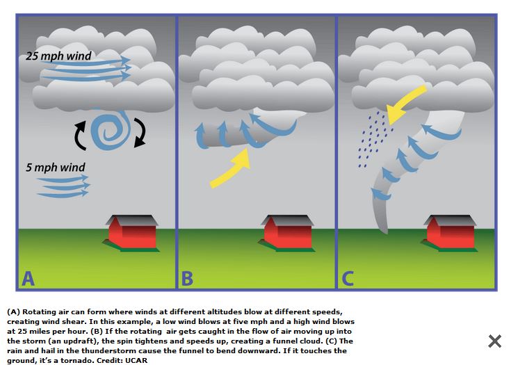 With a tornado, the wind shear is above the surface and there is an updraft up into a storm cell.