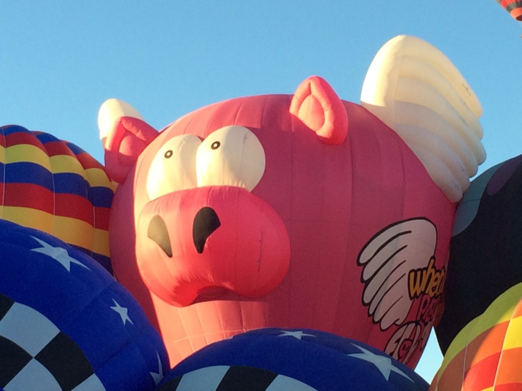 "When Pigs Fly" was a crowd favorite.