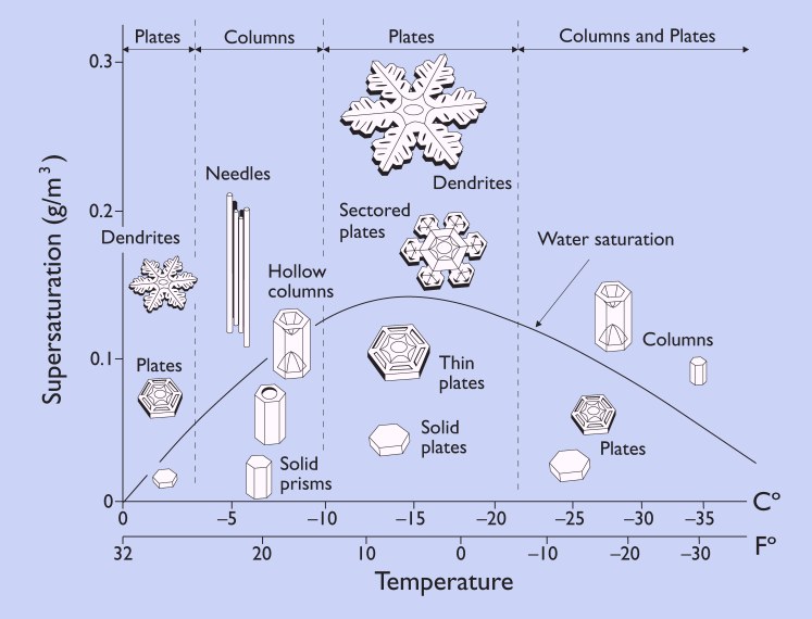 The shape a snowflake takes depends on temperature and humidity. From http://www.its.caltech.edu/~atomic/snowcrystals/primer/primer.htm