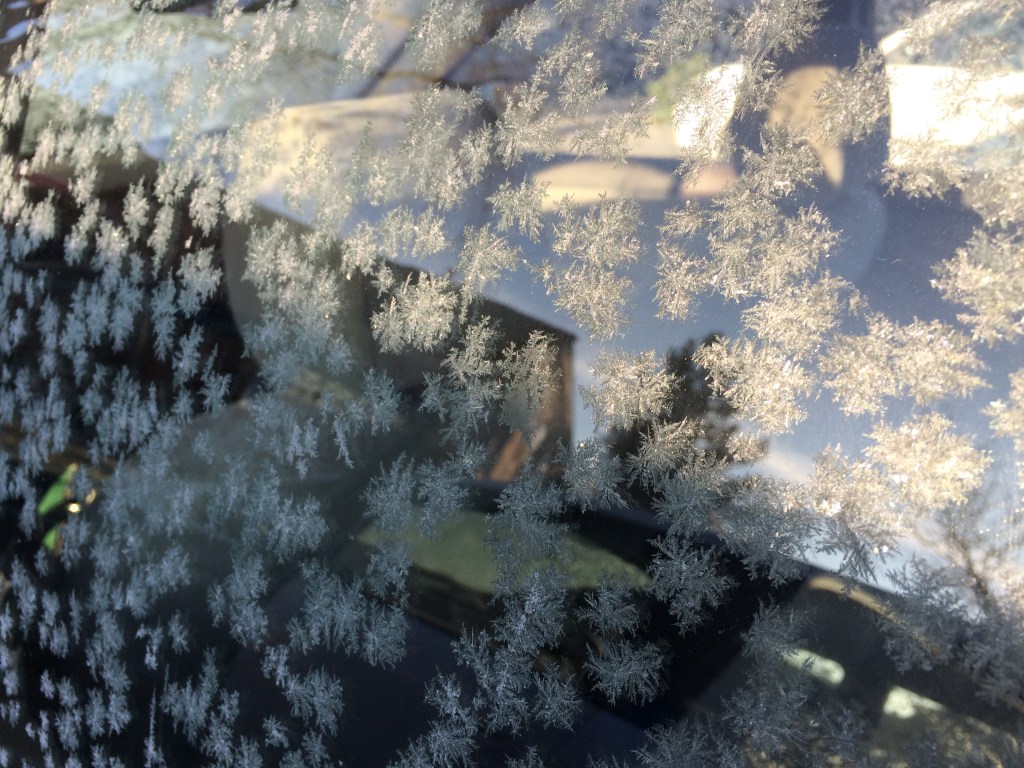 Another shot. Such wonderful crystalline patterns!